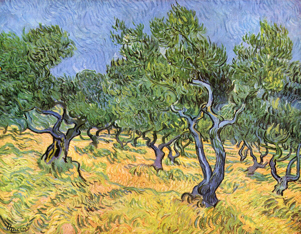 Olive Trees by Van Gogh
